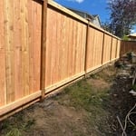 Cedar fence