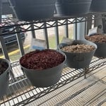 Mulch restoration