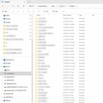 Screenshot Privacy