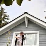 Window Cleaning