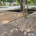 Front Yard Xeriscaping