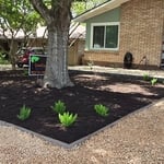 Front Yard Xeriscaping