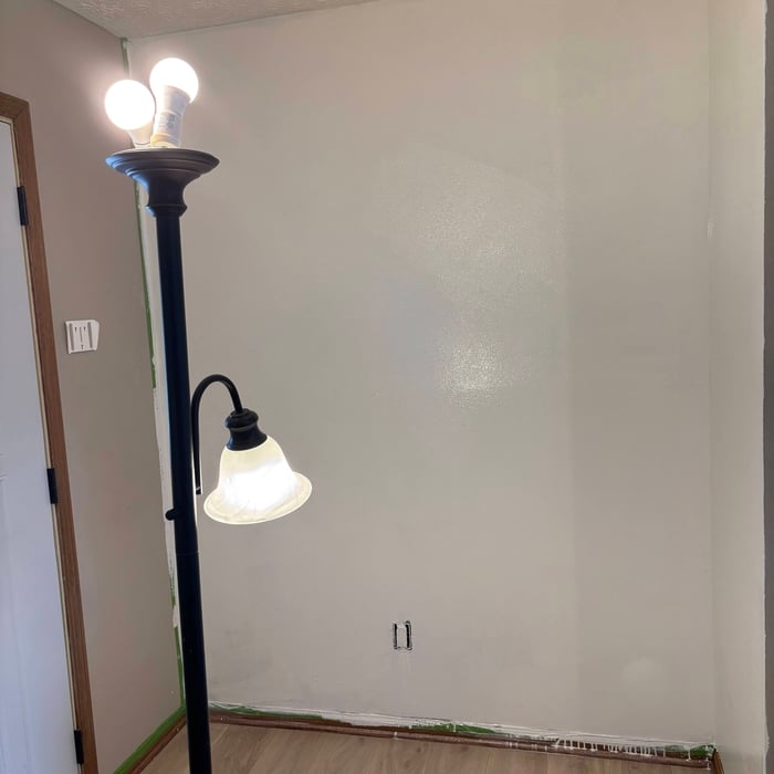 Living Room Painting