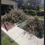 Landscape debris removal