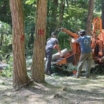 Tree service