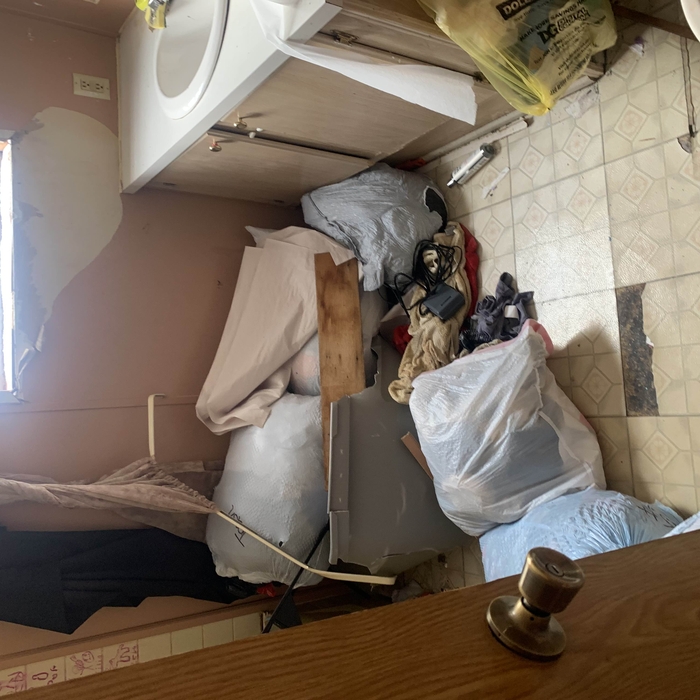 Mobile Home clean out