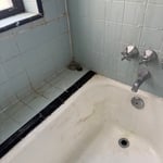 Tub before
