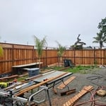 Occidental rd Clean up
