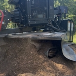 Stump Grinding