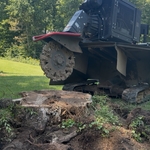 Stump Grinding