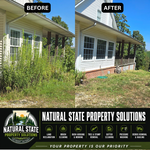 Property Cleanup