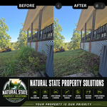 Property Cleanup