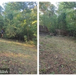 Back yard reclamation.