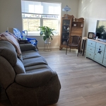 Living room cleaned