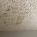 attic leak
