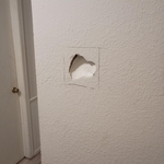 Home wall repair