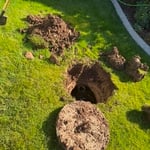 Buried tank lid pump