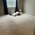 Condo junk removal