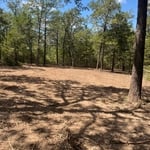 Forestry Mulching