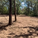 Forestry Mulching