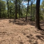 Forestry Mulching