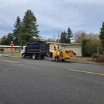 Tree pruning