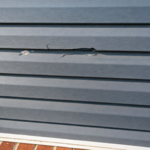 Siding Repair Before