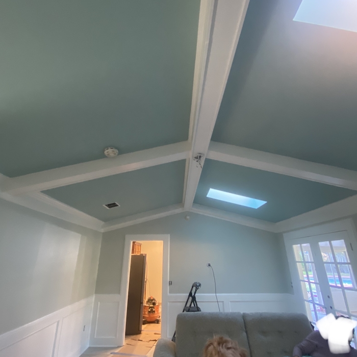 Full interior paint