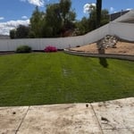 New sod installation