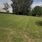 Lawn Service Projects