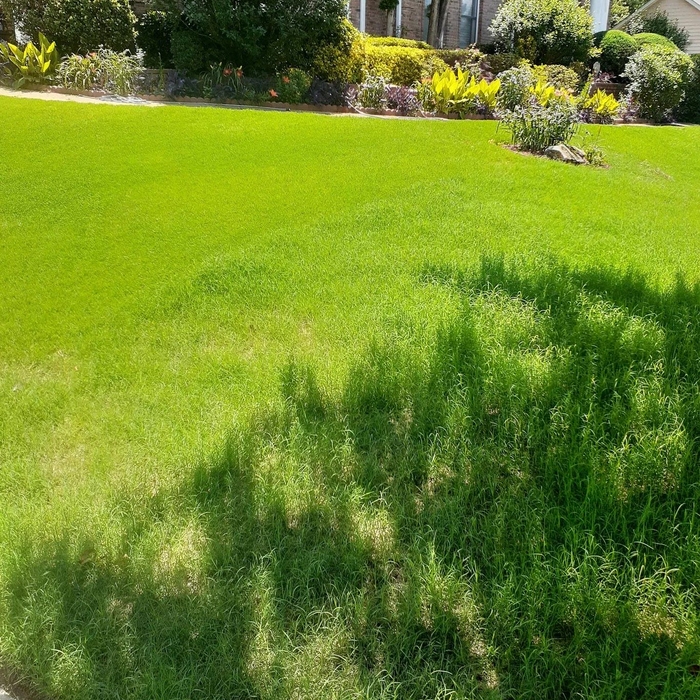 Landscaping King (After)