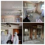 Mold Remediation