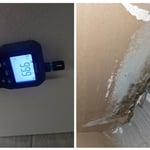 Mold Remediation
