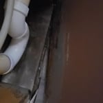 Mold Remediation