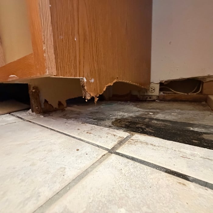 Mold and Cabinet Repair