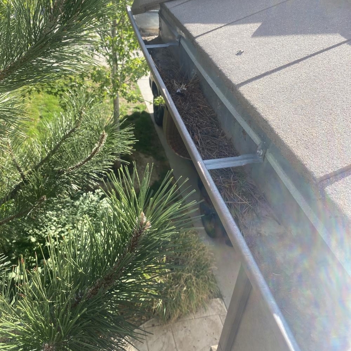 Gutter Cleaning