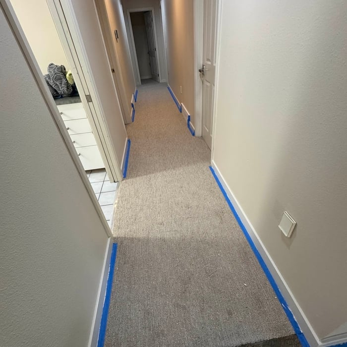 Full home painting