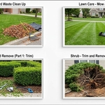 Brush removal