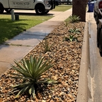 New flower bed
