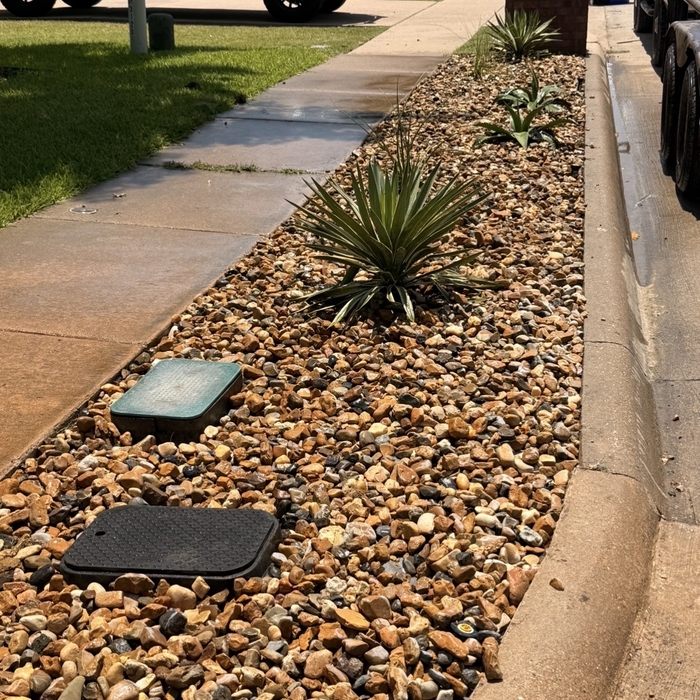 New flower bed