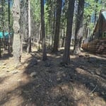 Yard cleanup