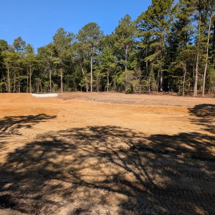 New pond build