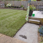 Grass installation