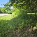Embankment Beautification