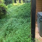 Property Clean up