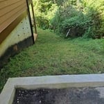 Property Clean up
