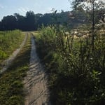 Driveway clearance