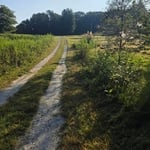 Driveway clearance