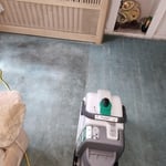 Carpet extraction