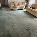 Carpet extraction